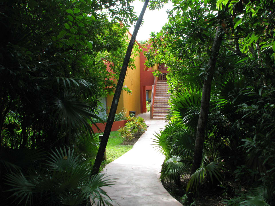 Weg zum Wohnpark "Tulum" Catalonia Playa Maroma