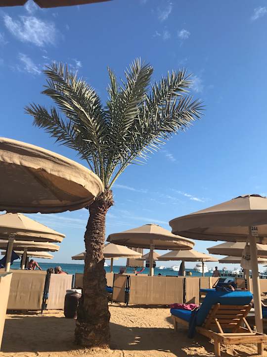 Strand Pickalbatros White Beach Resort - Hurghada
