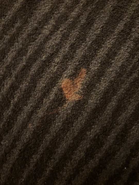 Zimmer The Domicil Hotel Frankfurt City