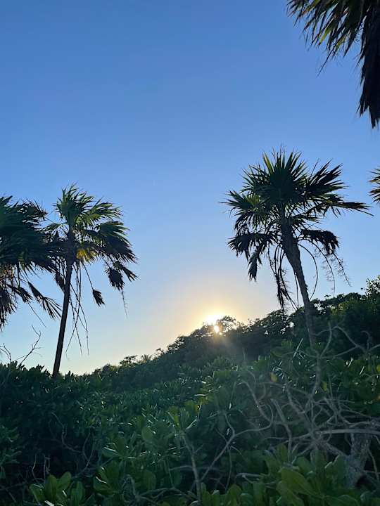 Ausblick TRS Yucatan Hotel - Adults only