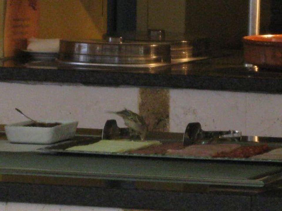 Hotel Fuerteventura Park Iberostar Waves Gaviotas Park