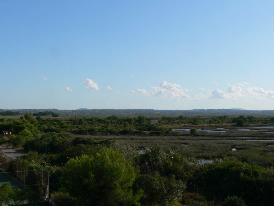 Ausblick zur Landseite Prinsotel La Dorada