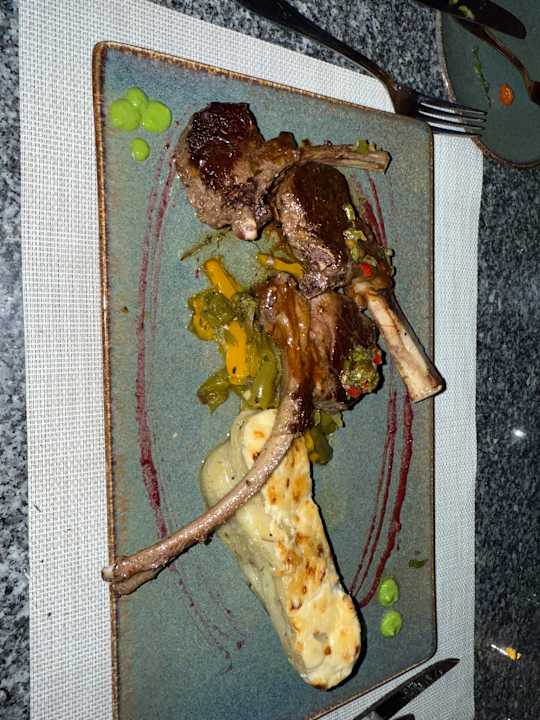 Gastro JAZ Elite Asteria