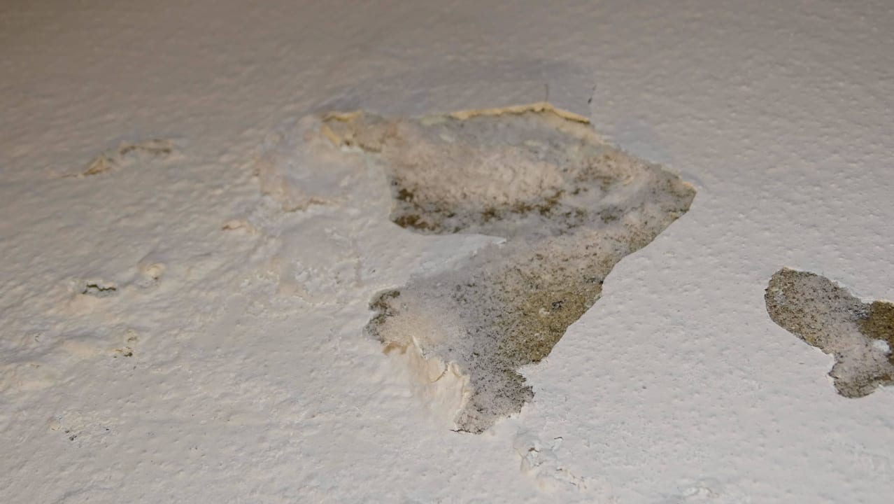 Fehlender Putz und Schimmel? Hotel Quality Inn Waterfront