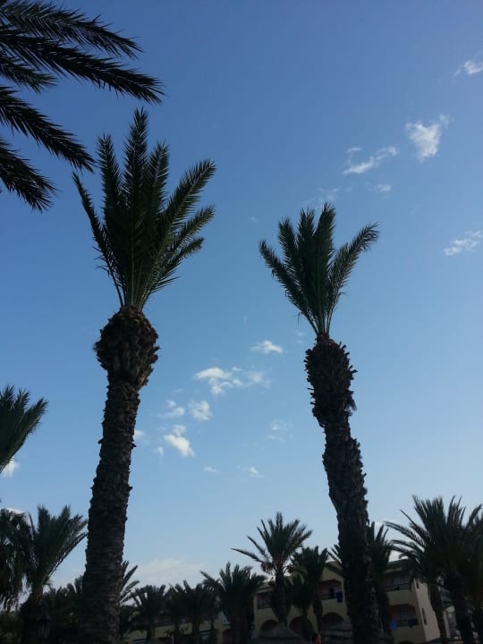 Blick morgens gen Himmel Houda Golf & Beach Club