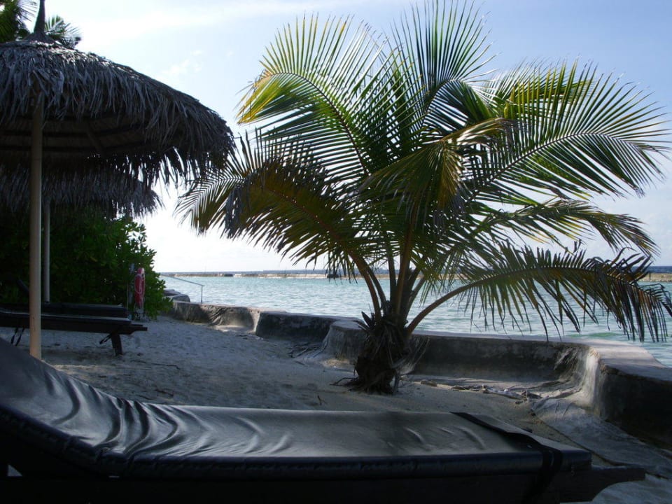 Strandabschnitt Ellaidhoo Maldives by Cinnamon