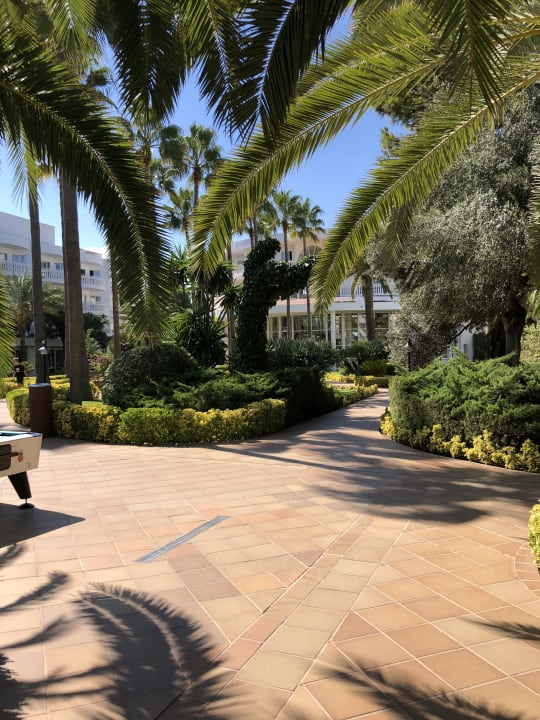 Gartenanlage Iberostar Selection Albufera Park