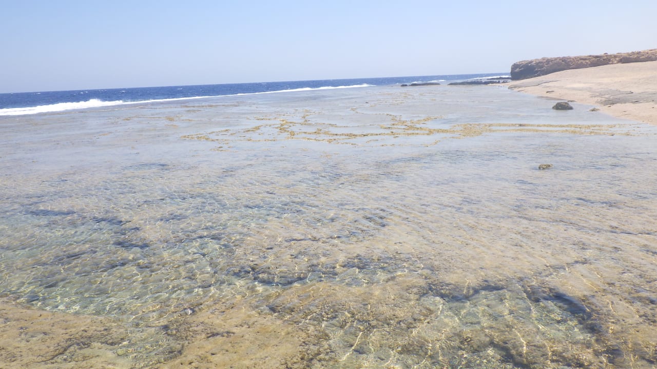 Strand Dreams Beach Resort Marsa Alam