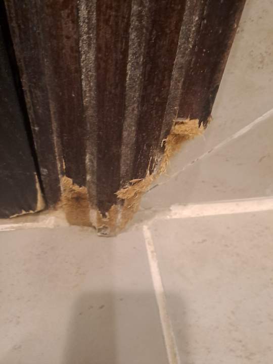 Zimmer Coral Sun Beach