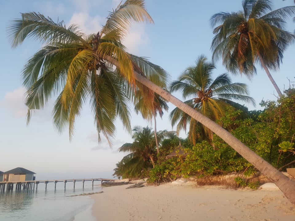 Außenansicht NH Collection Maldives Havodda Resort