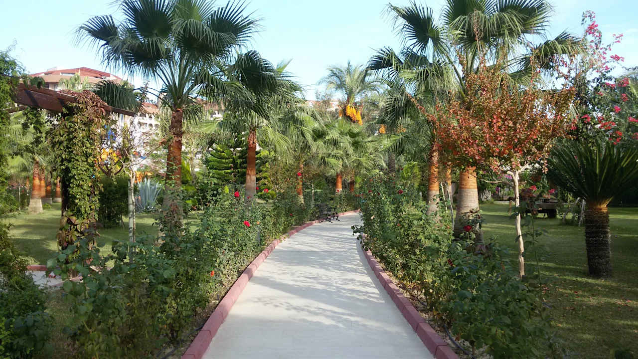 Райский сад Saphir Resort & Spa