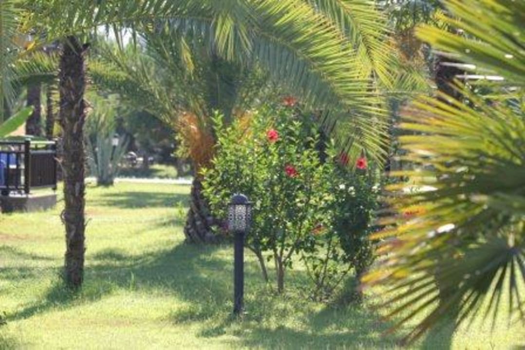Gartenanlage TUI BLUE Palm Garden
