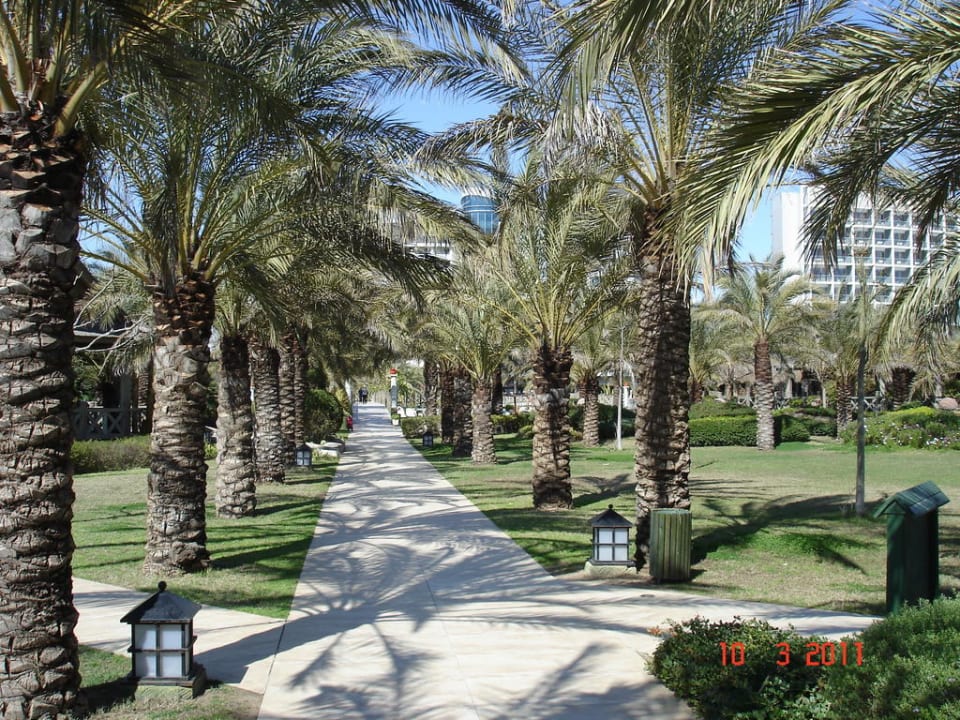 Hotel Royal Wings Royal Wings Hotel