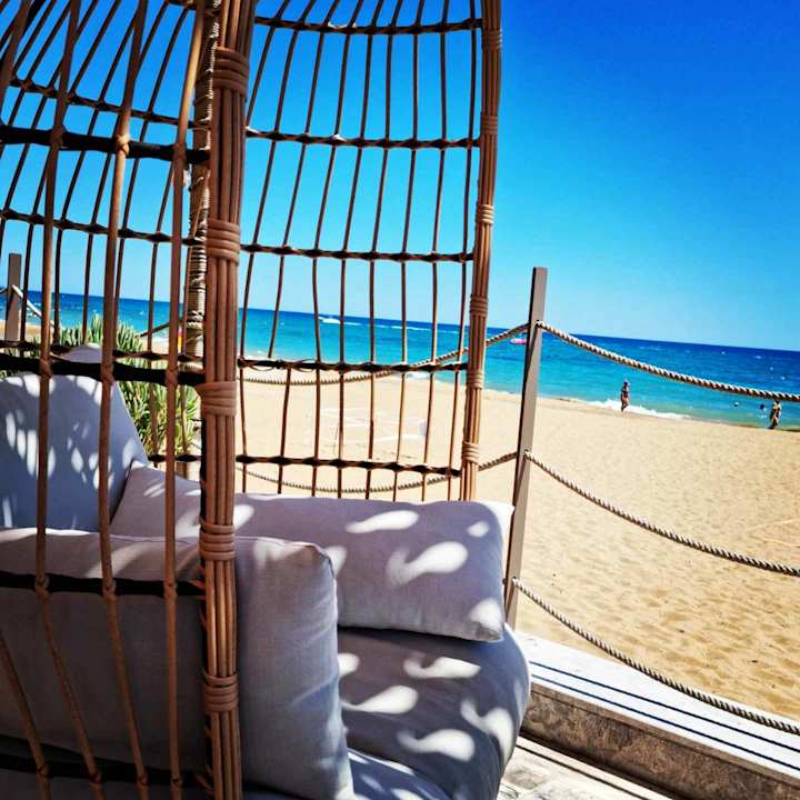 Strand Seashell Vega