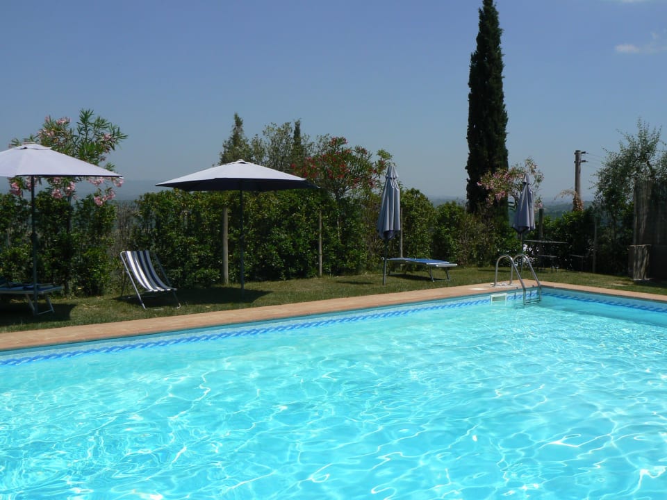 Blick über den Pool Richtung Weinberge Agriturismo Cesani Vincenzo
