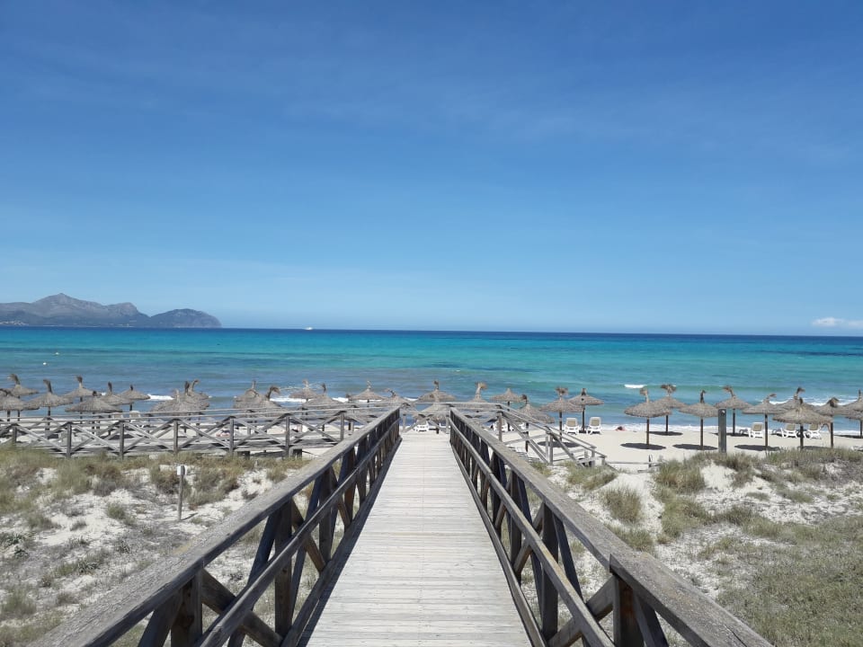 Strand Grupotel Farrutx