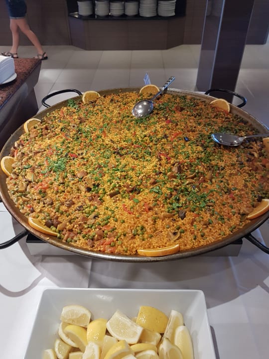 Gastro blau punta reina