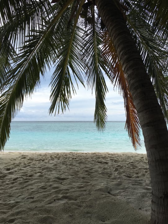 Trauminsel Summer Island Maldives