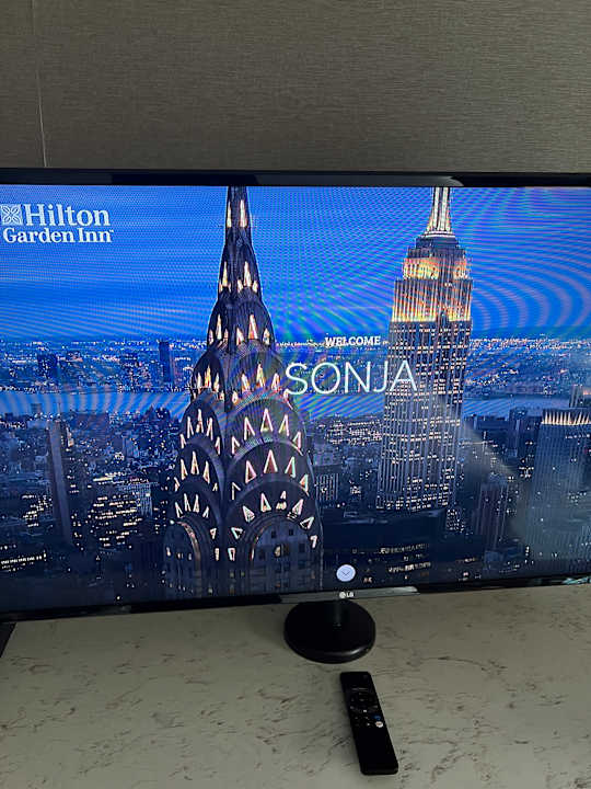 Zimmer Hilton Garden Inn New York Times Square South