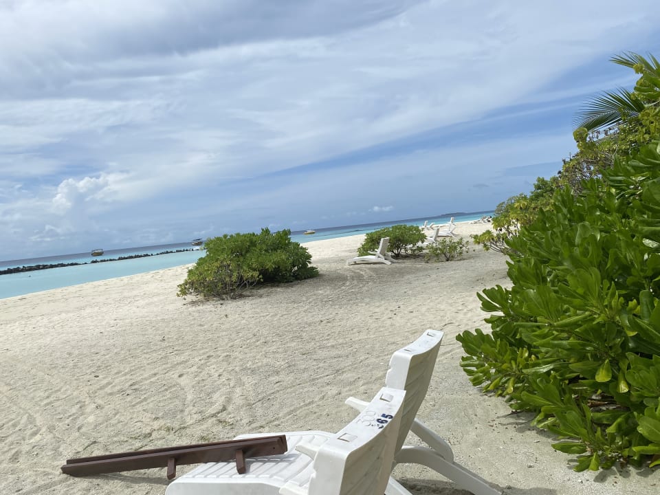 Strand Summer Island Maldives