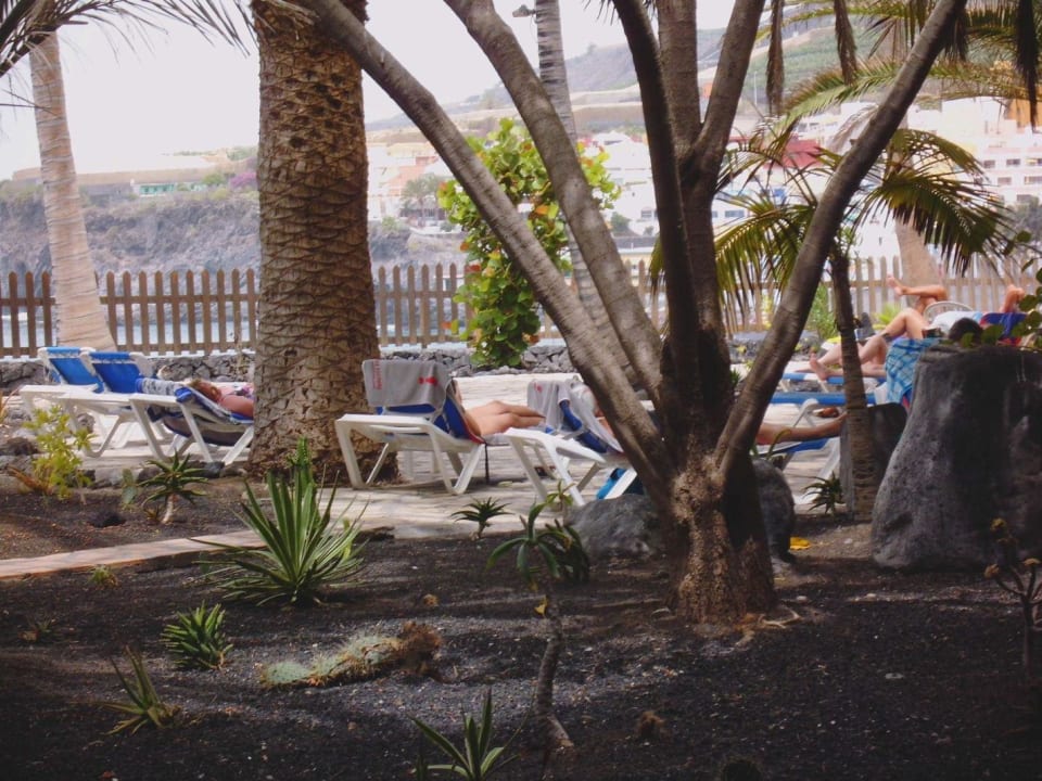 Pod palmami w ogrodzie. Melia La Palma Hotel