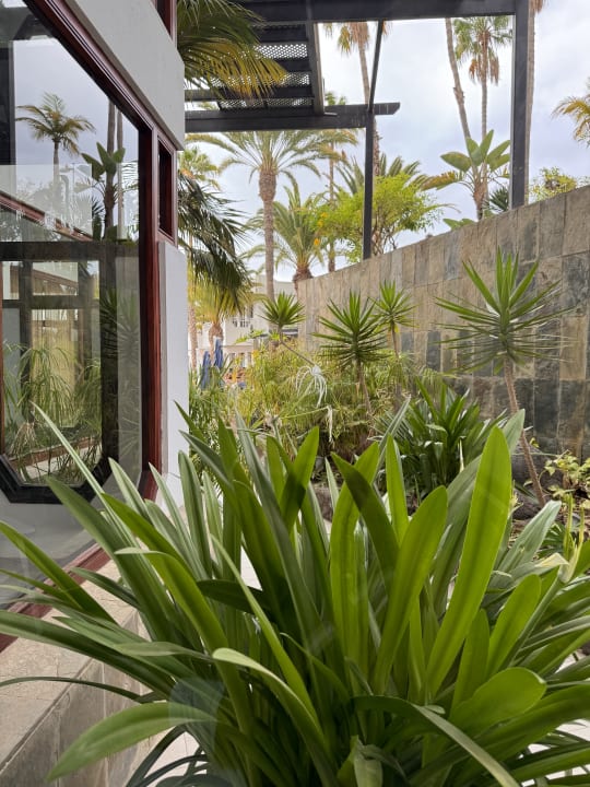 Gartenanlage Corallium Beach by Lopesan Hotels - Adults only