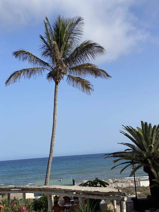 Ausblick SBH Monica Beach Resort