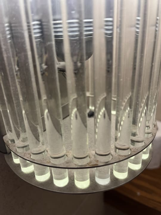 Zimmer Well Palace Side