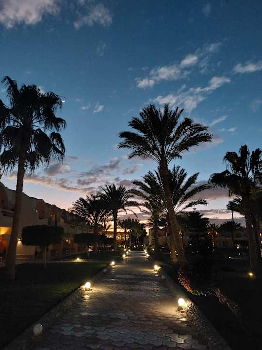 Gartenanlage Three Corners Sea Beach Resort