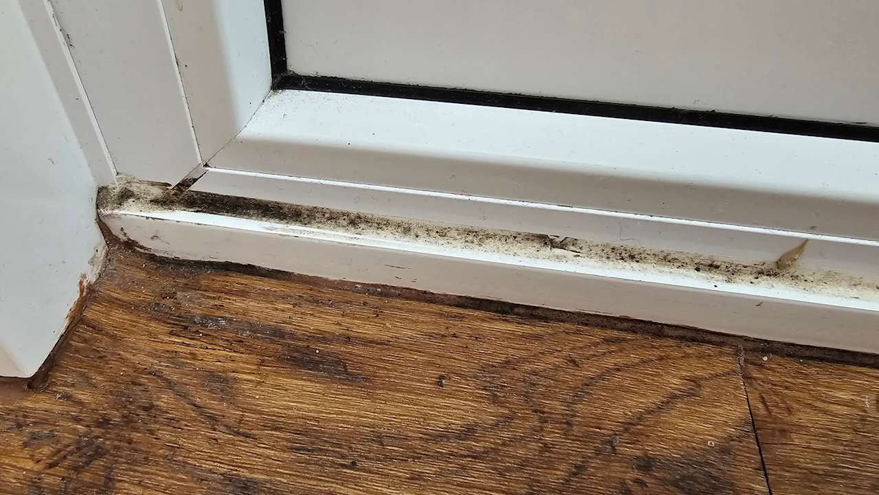 Zimmer Ferienwohnungen Ferienpark Weissenhäuser Strand