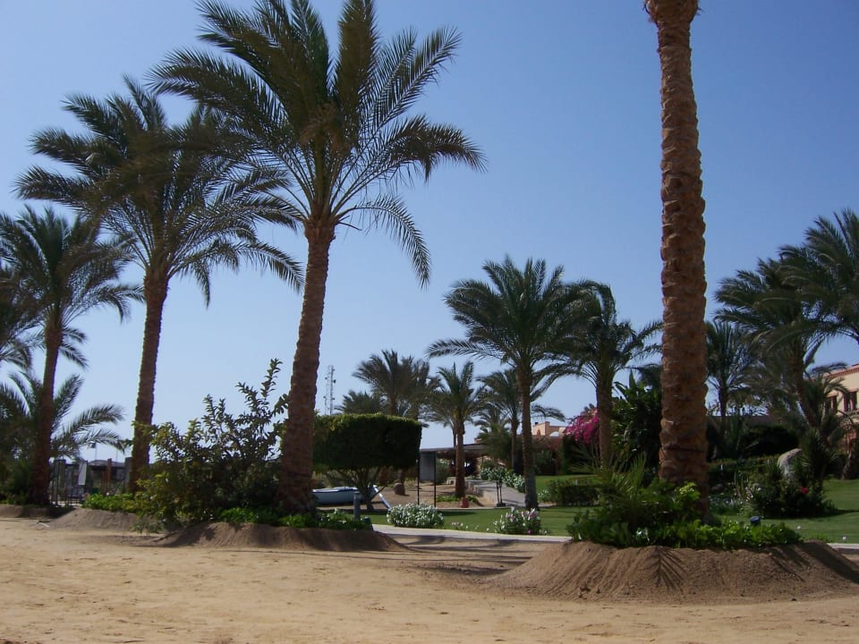 Hotel Iberotel Coraya Beach Steigenberger Coraya Beach - Adults only