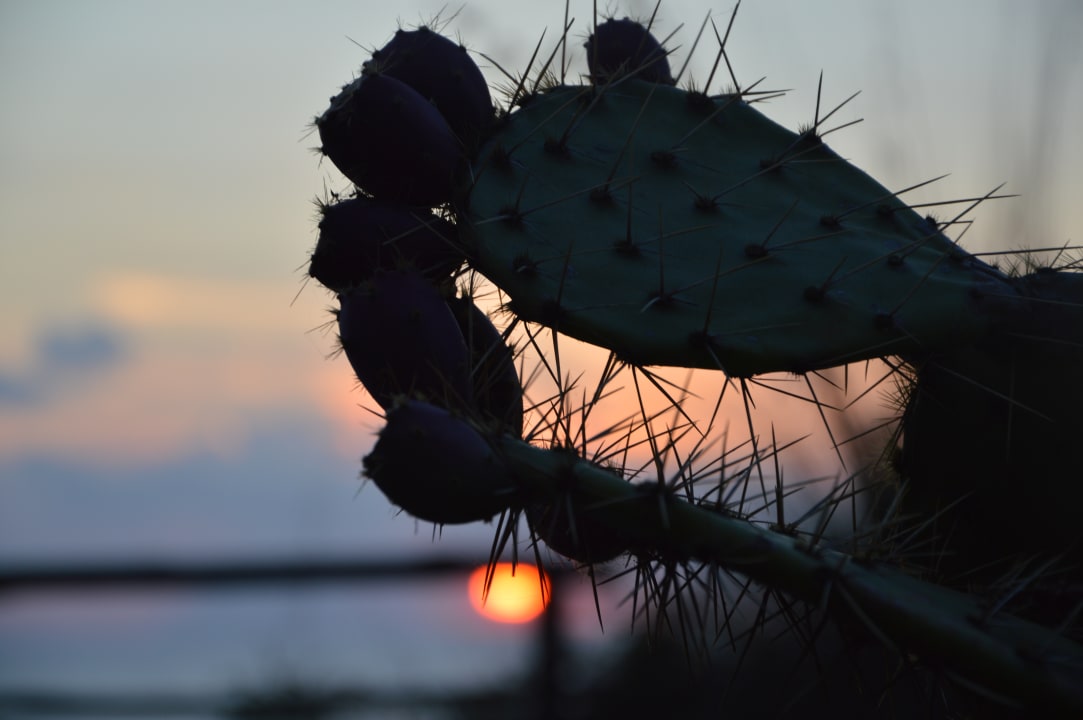 Ausblick Residence La Meridiana