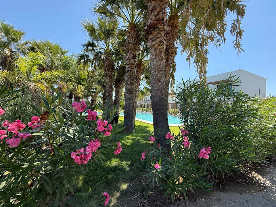 Gartenanlage Caravia Beach Hotel