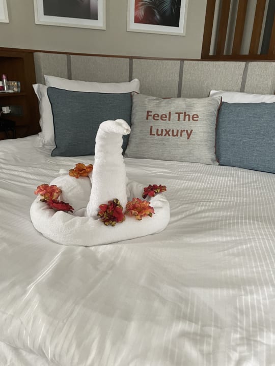 Zimmer Seaden Quality Resort & Spa