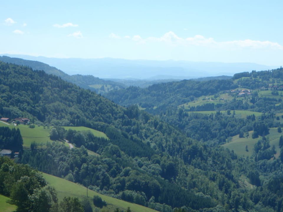 Ausblick in der Nähe des Holzer Kreuz Gästehaus Holzer Kreuz