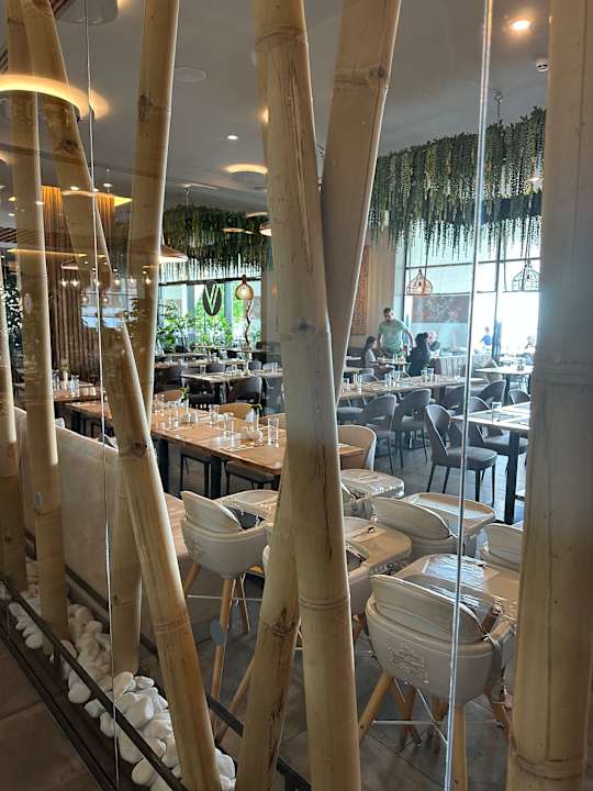 Gastro GRIFID Vistamar