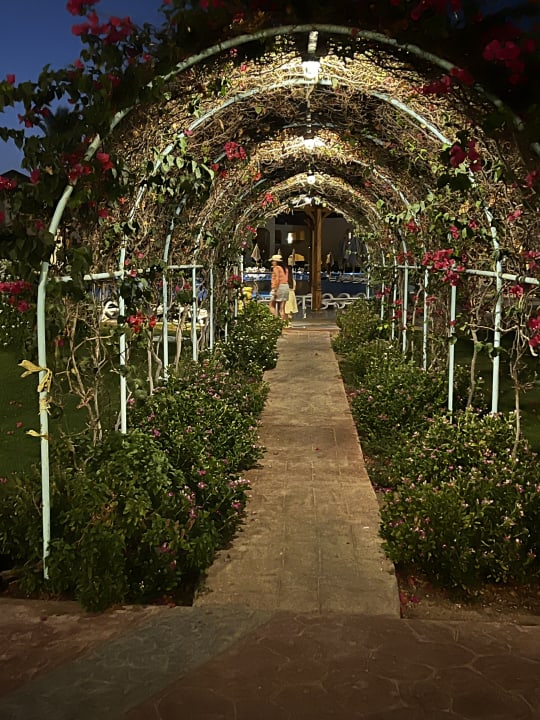 Außenansicht Cleopatra Luxury Resort Makadi Bay