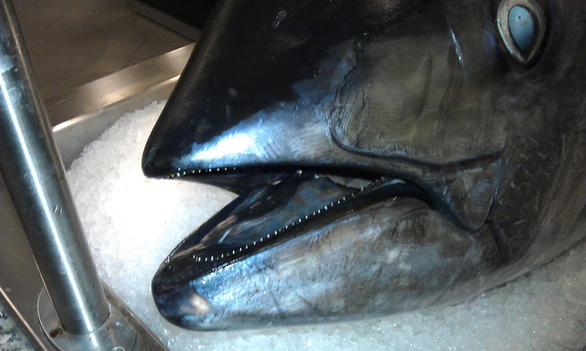 Hotel Aurora Hotel Aurora