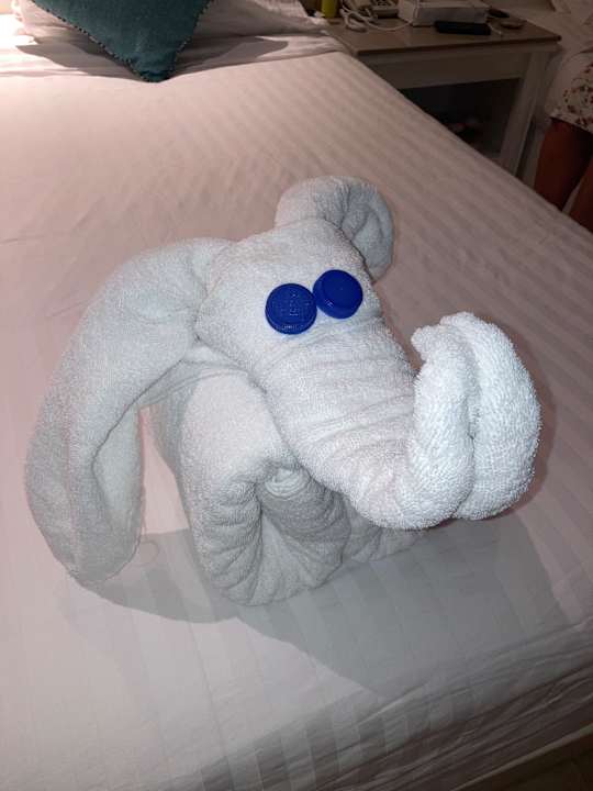 Zimmer SUNRISE Garden Beach Resort