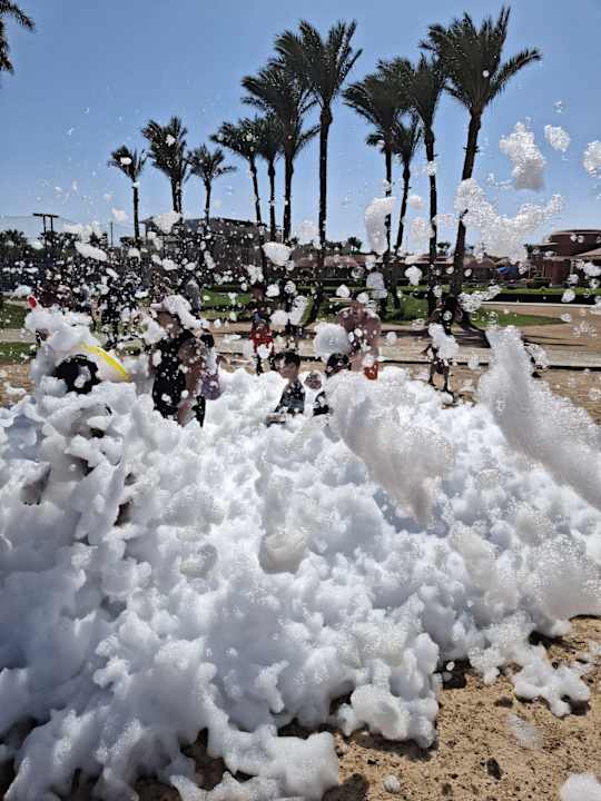 Sport & Freizeit Pickalbatros Laguna Vista Hotel