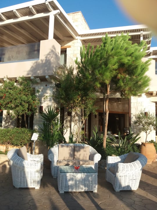 Sonstiges Cactus Royal