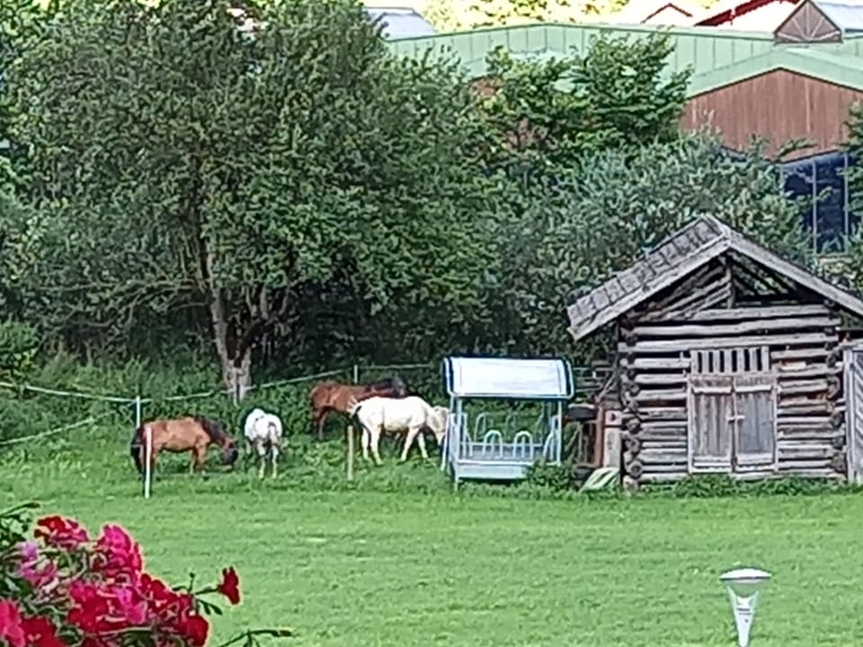 Ausblick Hotel Auhof