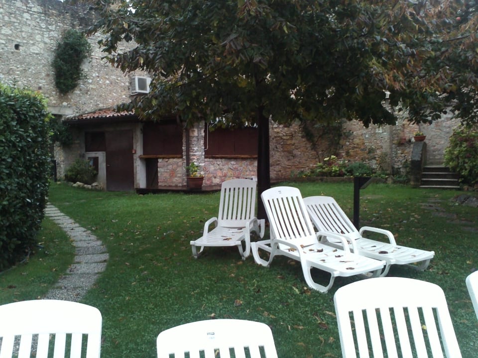 Liegewiese inmitten Oliven Hotel Romeo