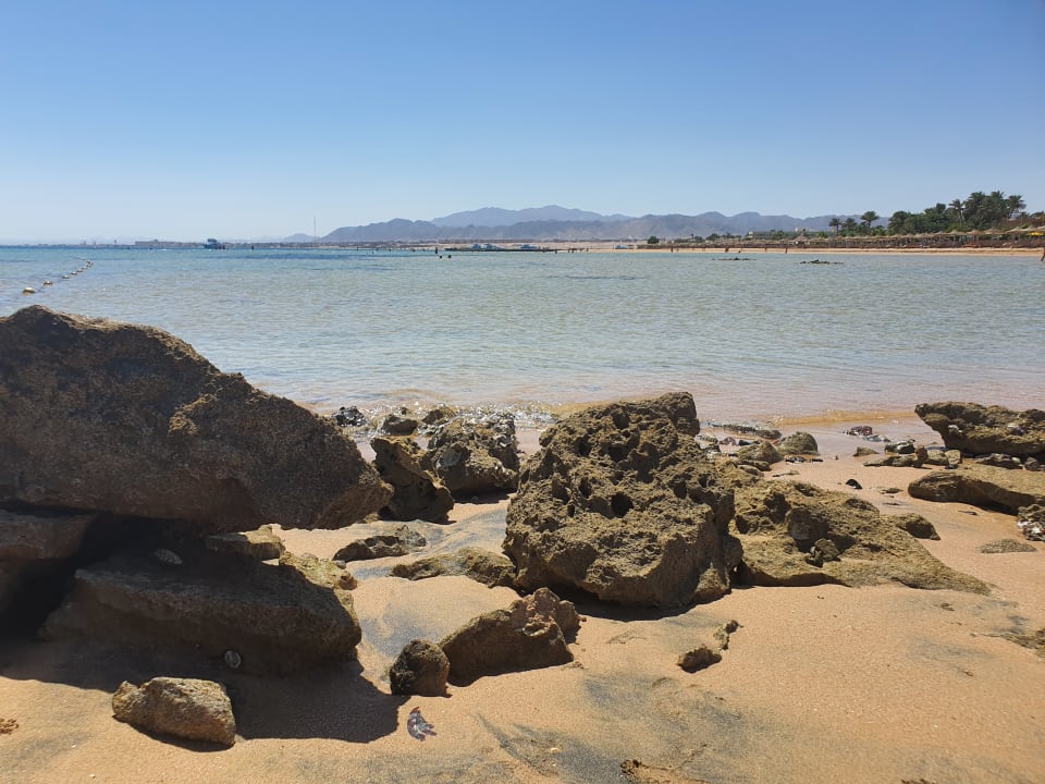 Strand Shams Prestige Abu Soma-Adults Only