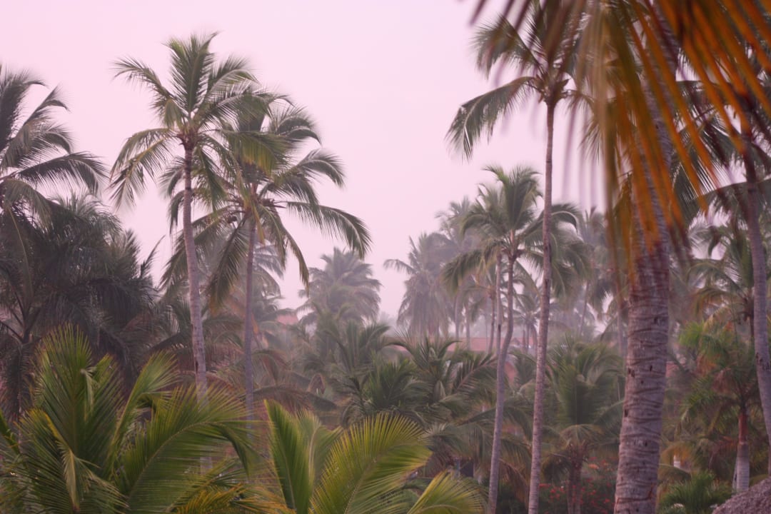 Ausblick aus dem Zimmer 3218 Punta Cana Princess All Suites Resort & Spa