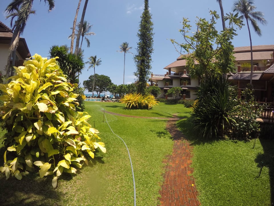 Zadbany ogród przy hotelu Aloha Resort Hotel Aloha Resort