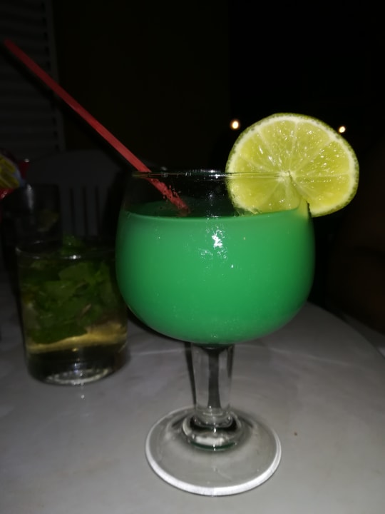 Gastro blau punta reina