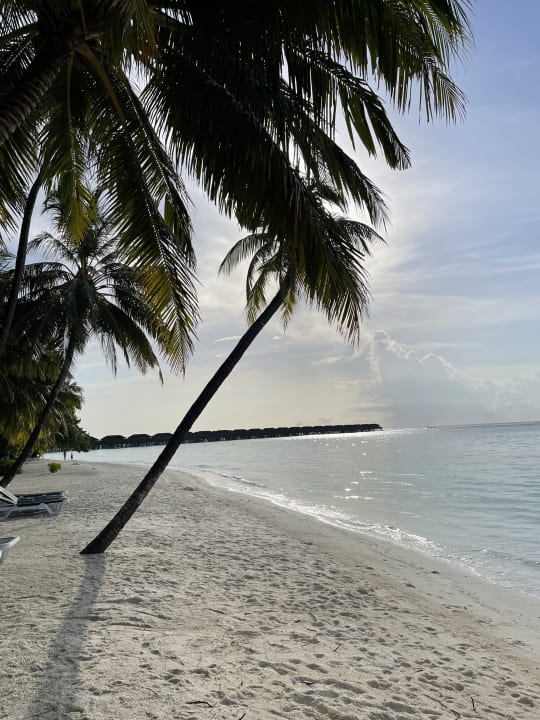 Strand Meeru Maldives Resort Island
