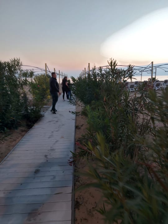 Strand TUI BLUE Xanthe