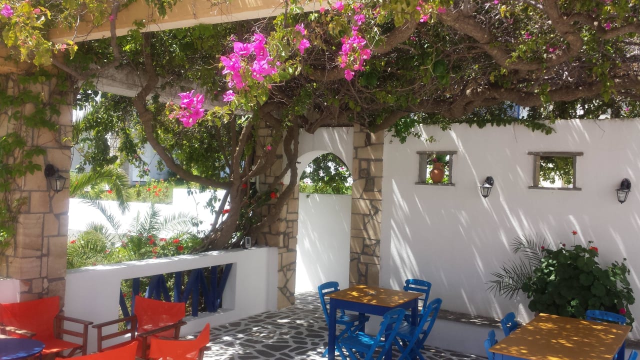 Tolle Terrasse - hier treffen sich Freunde Ekaterini Hotel